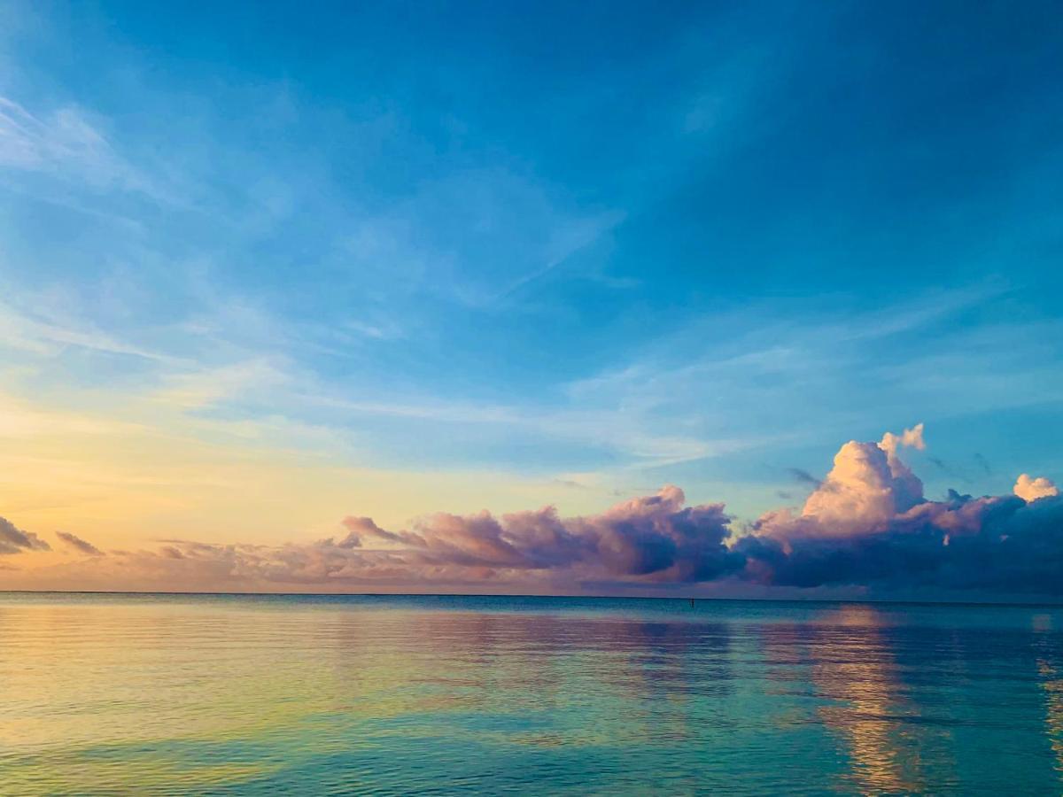 A Rocha Eco-Lodge & Conservation Centre Watamu Ngoại thất bức ảnh