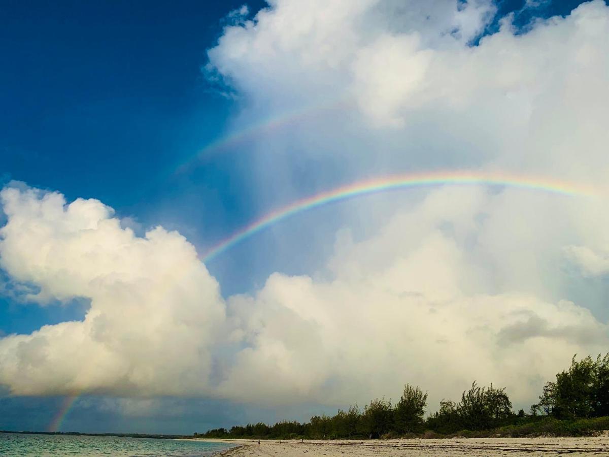 A Rocha Eco-Lodge & Conservation Centre Watamu Ngoại thất bức ảnh
