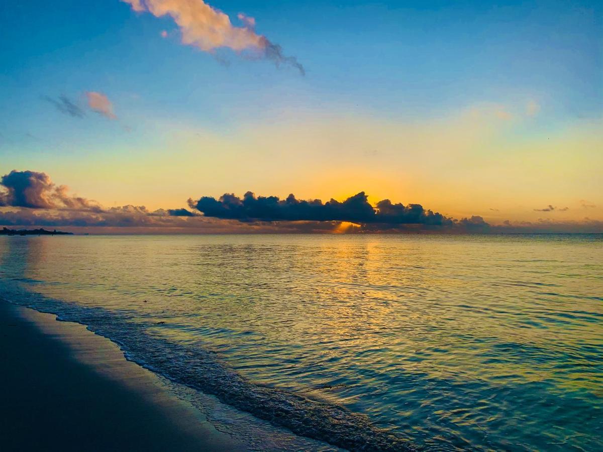 A Rocha Eco-Lodge & Conservation Centre Watamu Ngoại thất bức ảnh