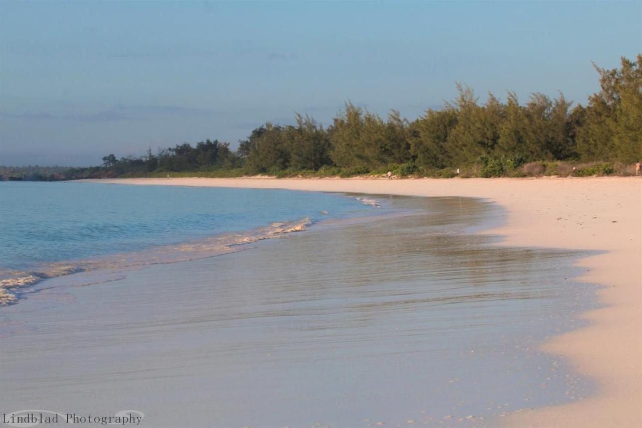 A Rocha Eco-Lodge & Conservation Centre Watamu Ngoại thất bức ảnh