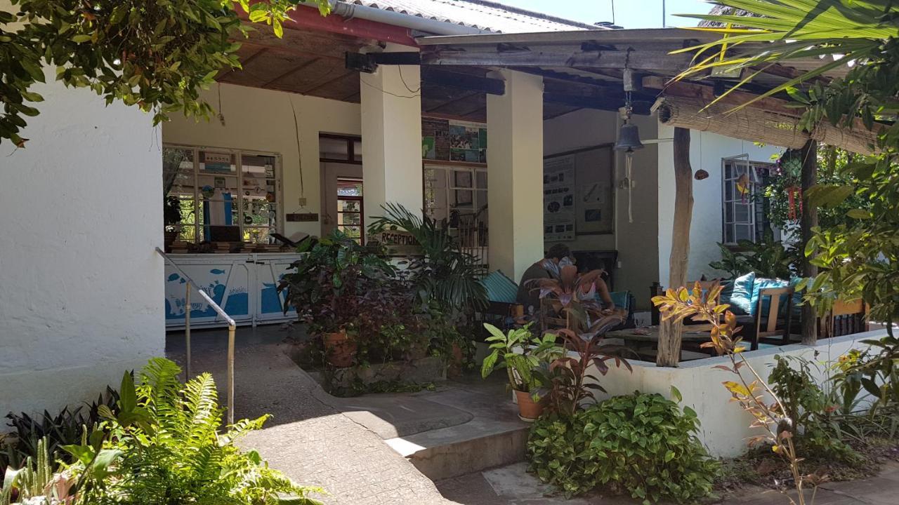 A Rocha Eco-Lodge & Conservation Centre Watamu Ngoại thất bức ảnh